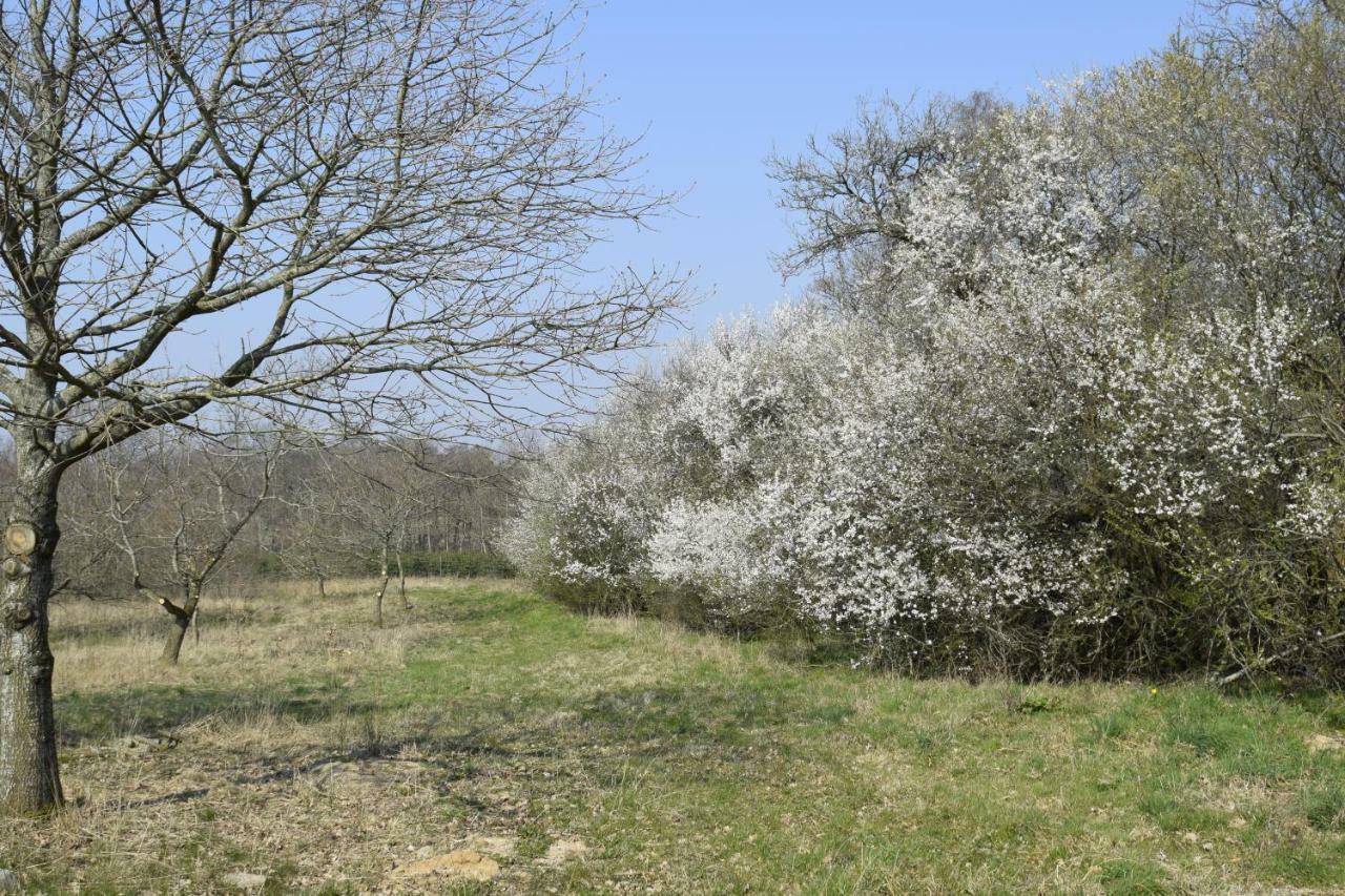 דירות סקנדרבורג Fredensholm Annex מראה חיצוני תמונה